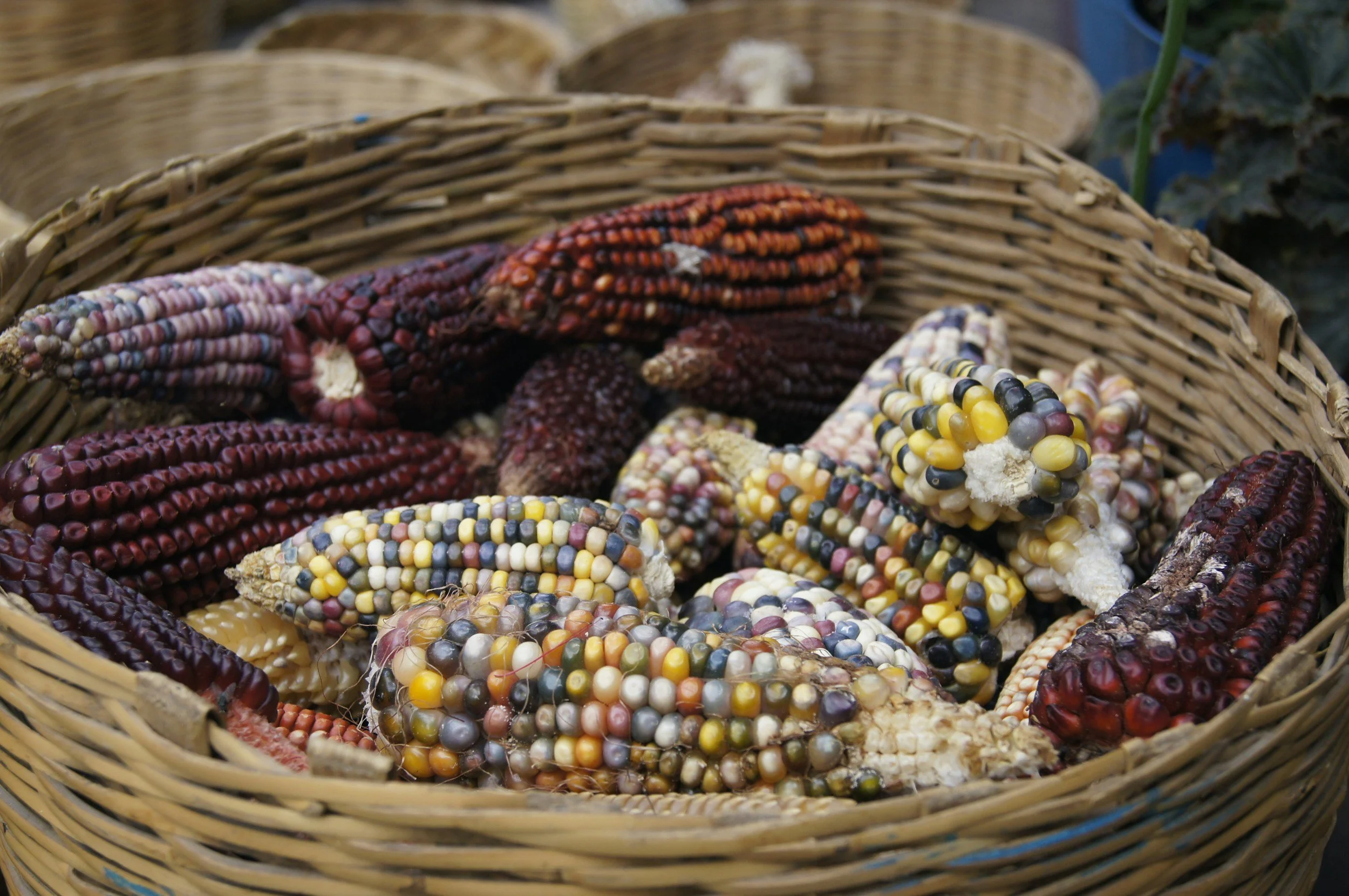 Food Sovereignty