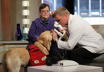 Dr. Bill Miller, the Founder of the ACVO/Stokes program, examines 'Cheerio' to promote the event on the set of Good Morning America.