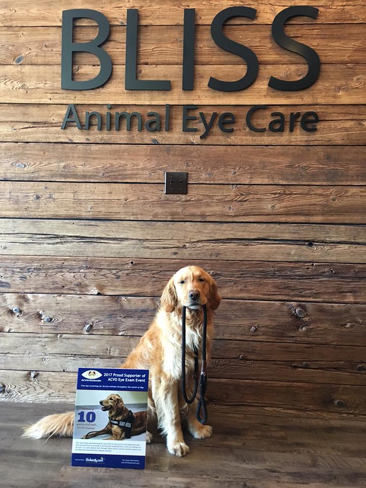Bliss Animal Eye Care, "Maks"