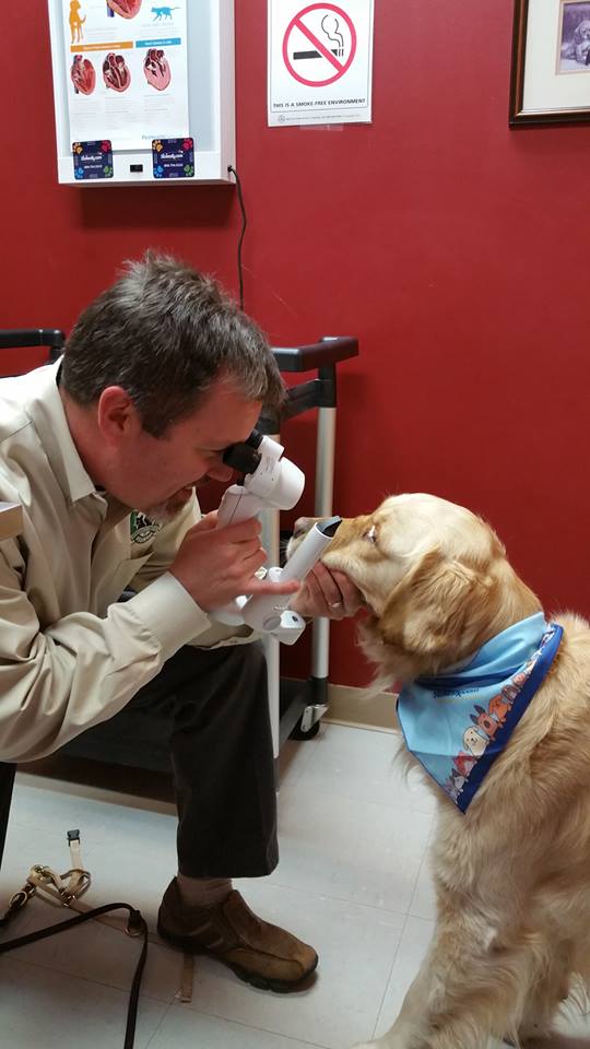 Dr. Jeff Bowersox w/ Beauregard, Veterinary Specialty Center of Delaware
