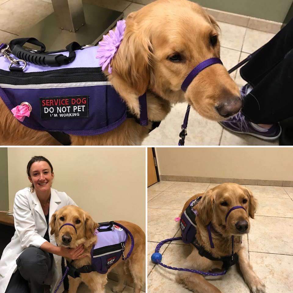 Dr. Francesca Venturi with Elsa, Eye Care for Animals, San Diego, CA