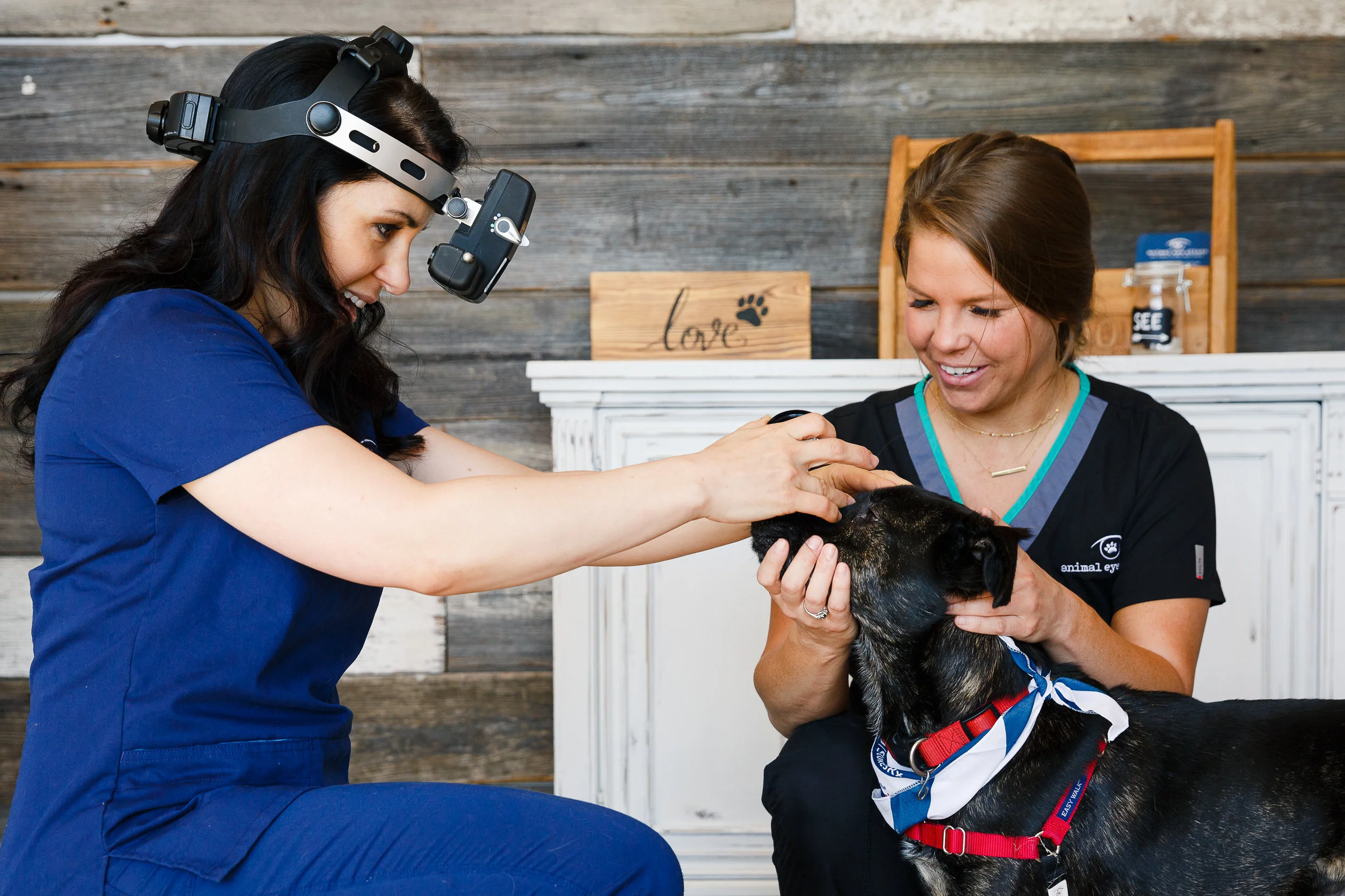Dr. Rachel Davis with the Animal Eye Clinic of Westfield, IN. (2018 exam program photo)