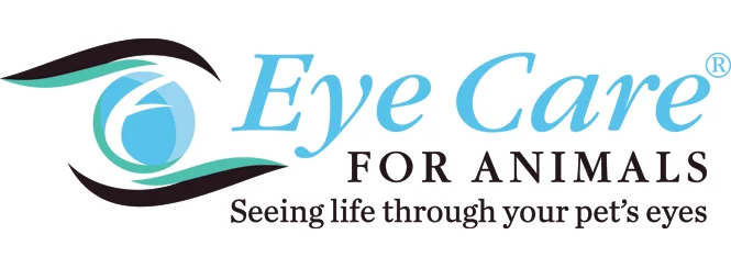 EyeCareLogo3Color.jpg