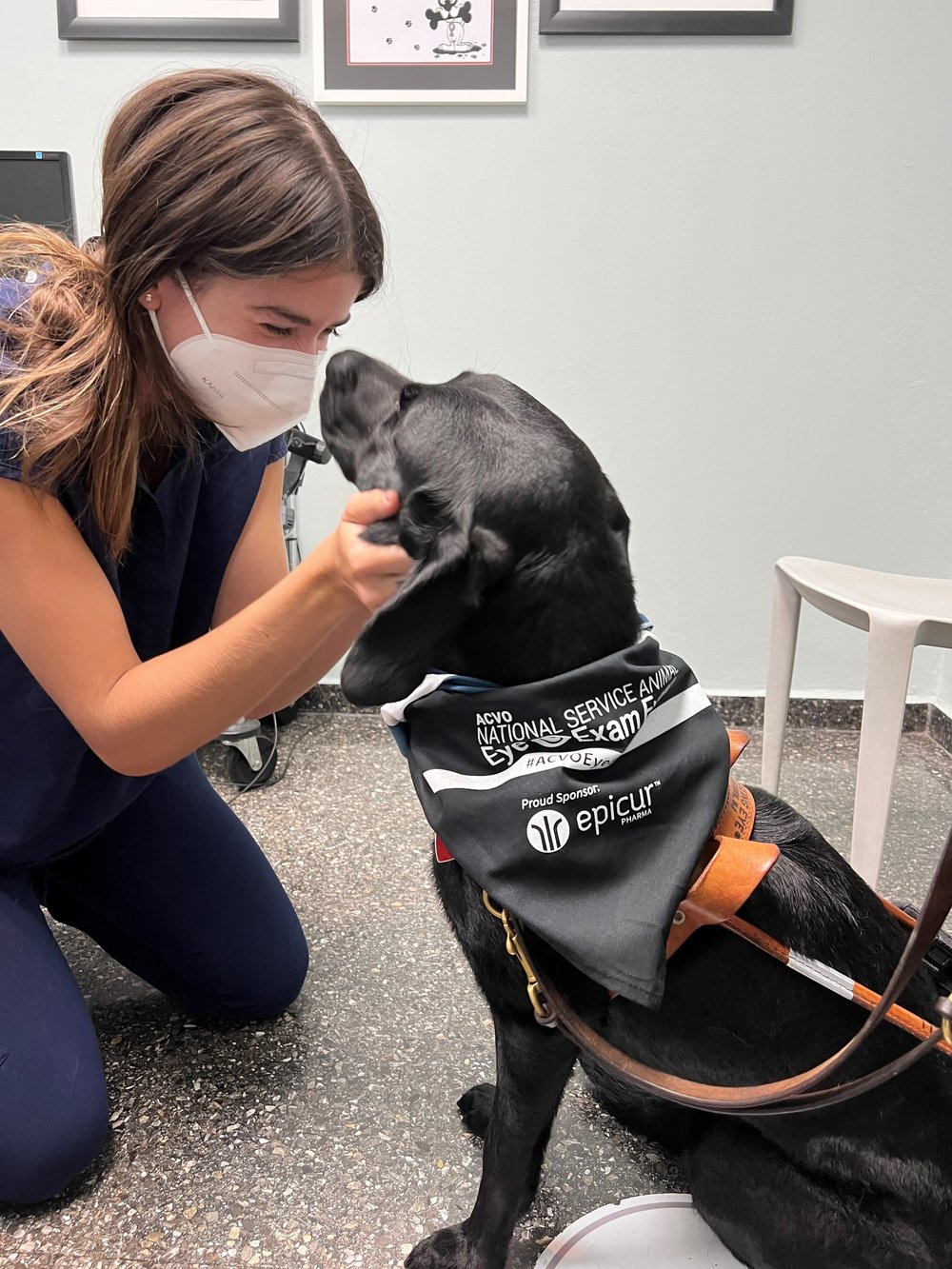 Registration for ACVO Members Now Open for 2023 Event! — Service Animal Eye  Exam