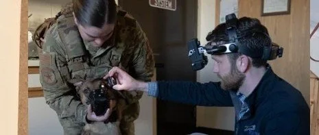 Header Photo SA Military Working Dogs 3.JPG