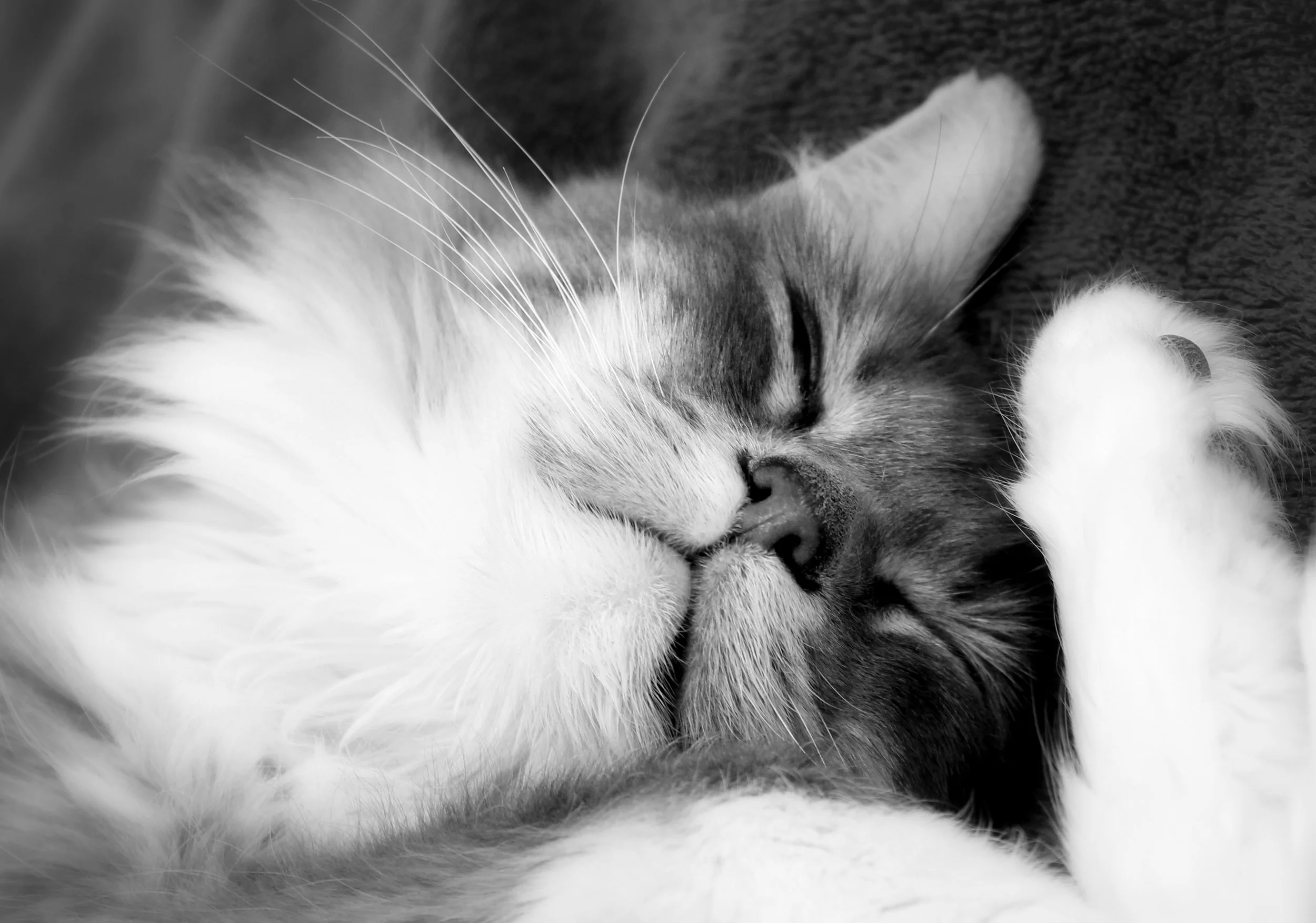 Katie 030213 18.jpg