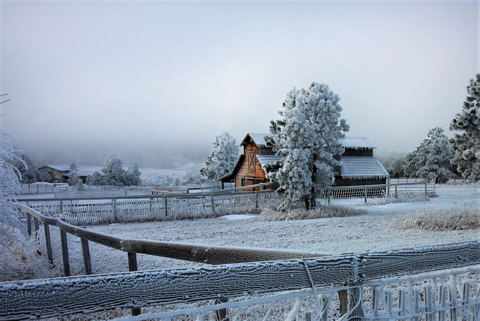 Frosty Barn REVAMPED.jpg