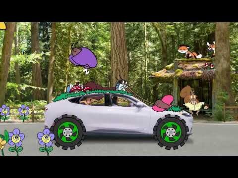 Diono® Imagination Forest Adventure