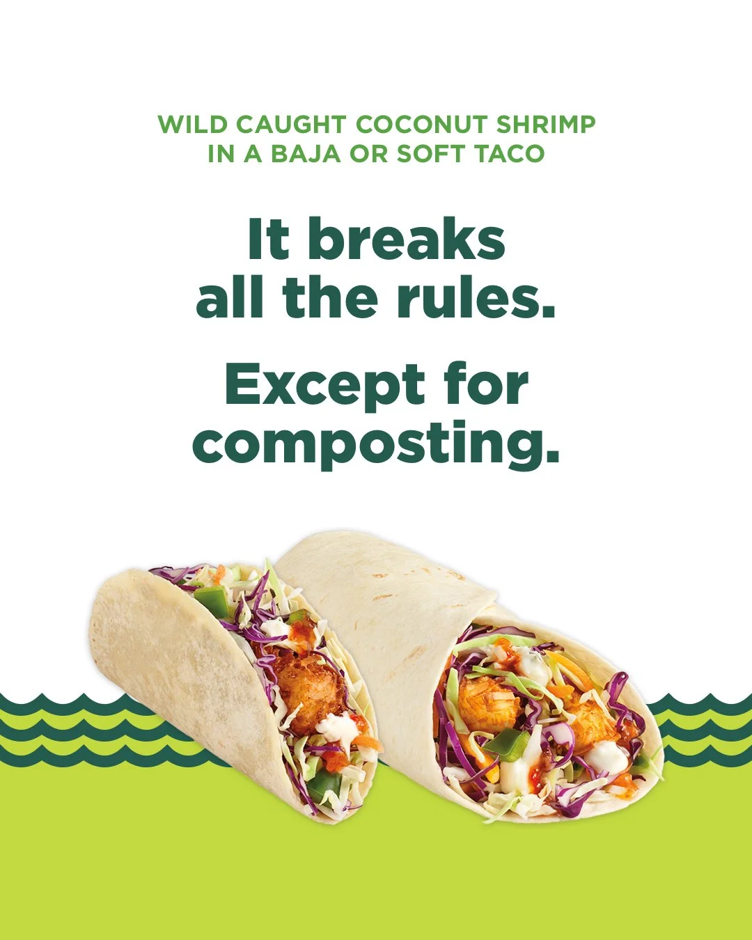 WildShrimp_IGInfeed2.jpg