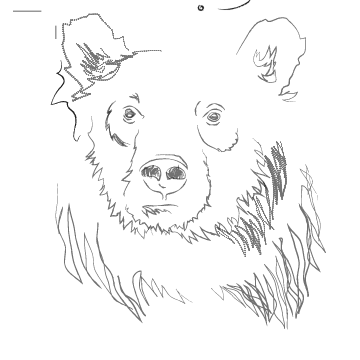 Artboard 3.png