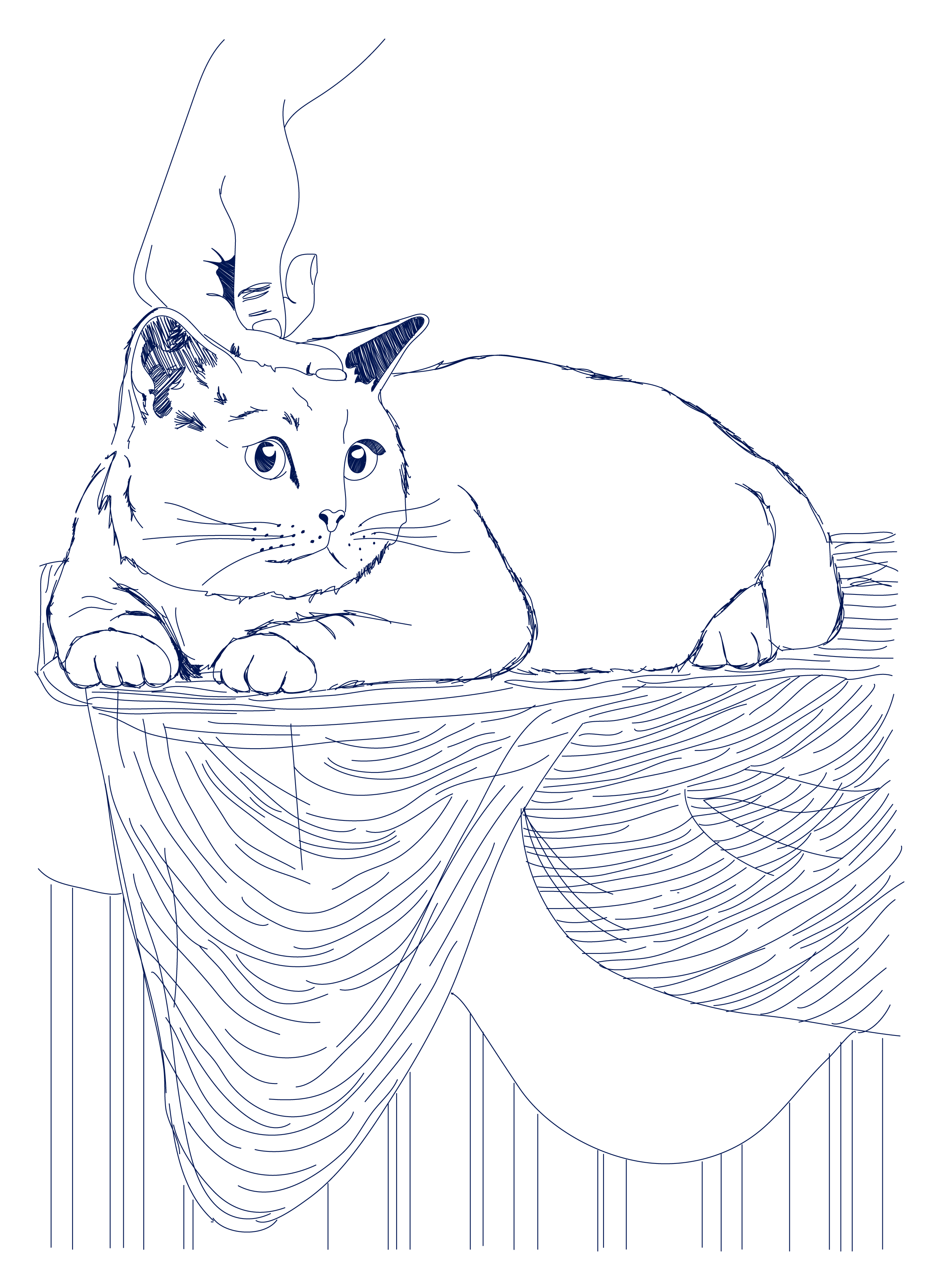 blueArtboard 1.png