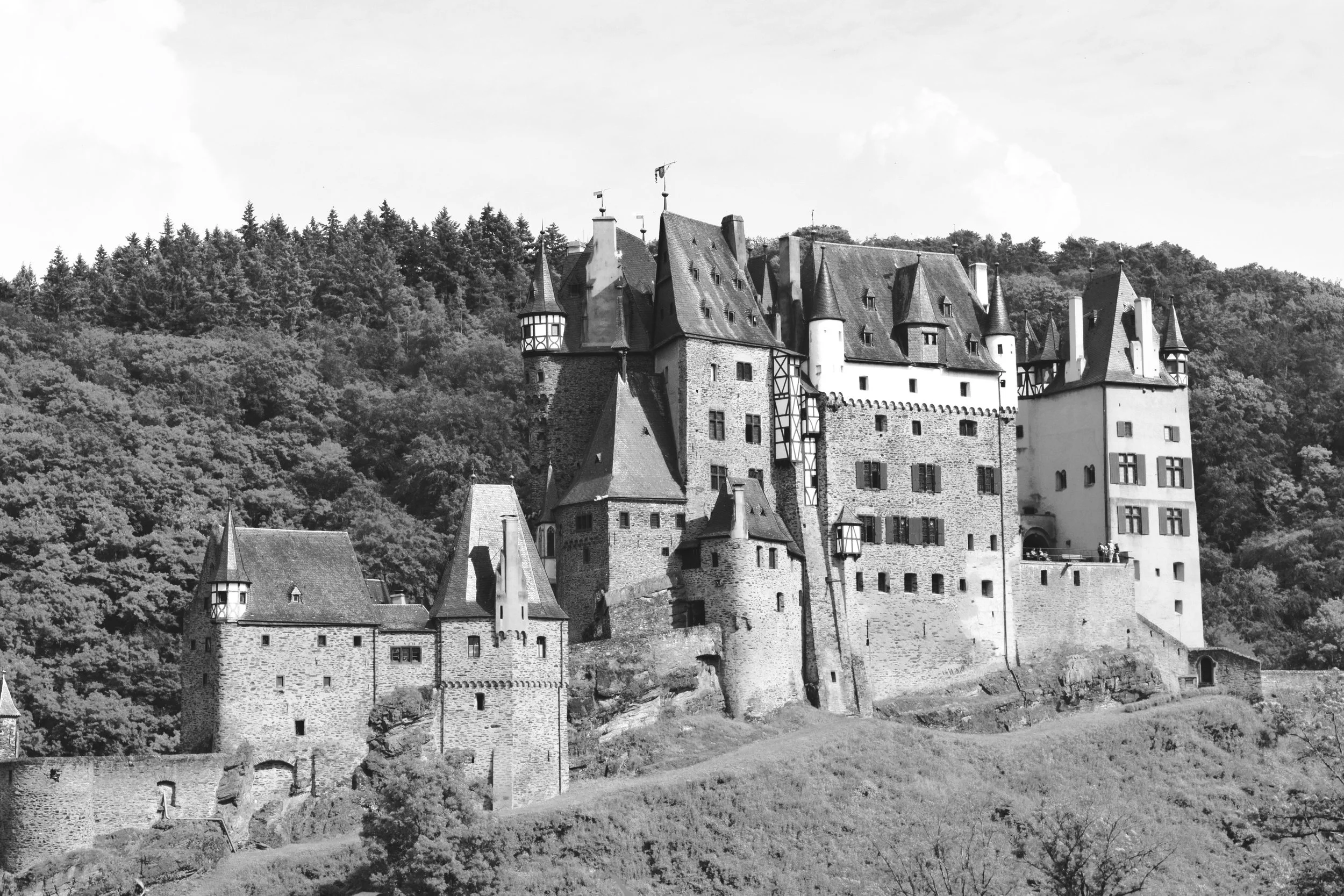 DSC_0116.jpg