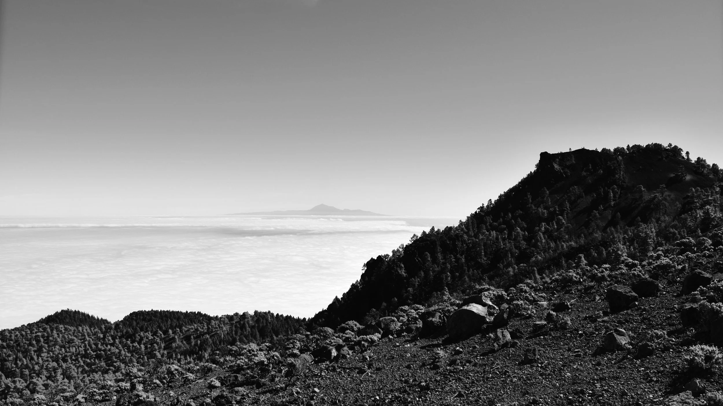 DSC_0519.jpg