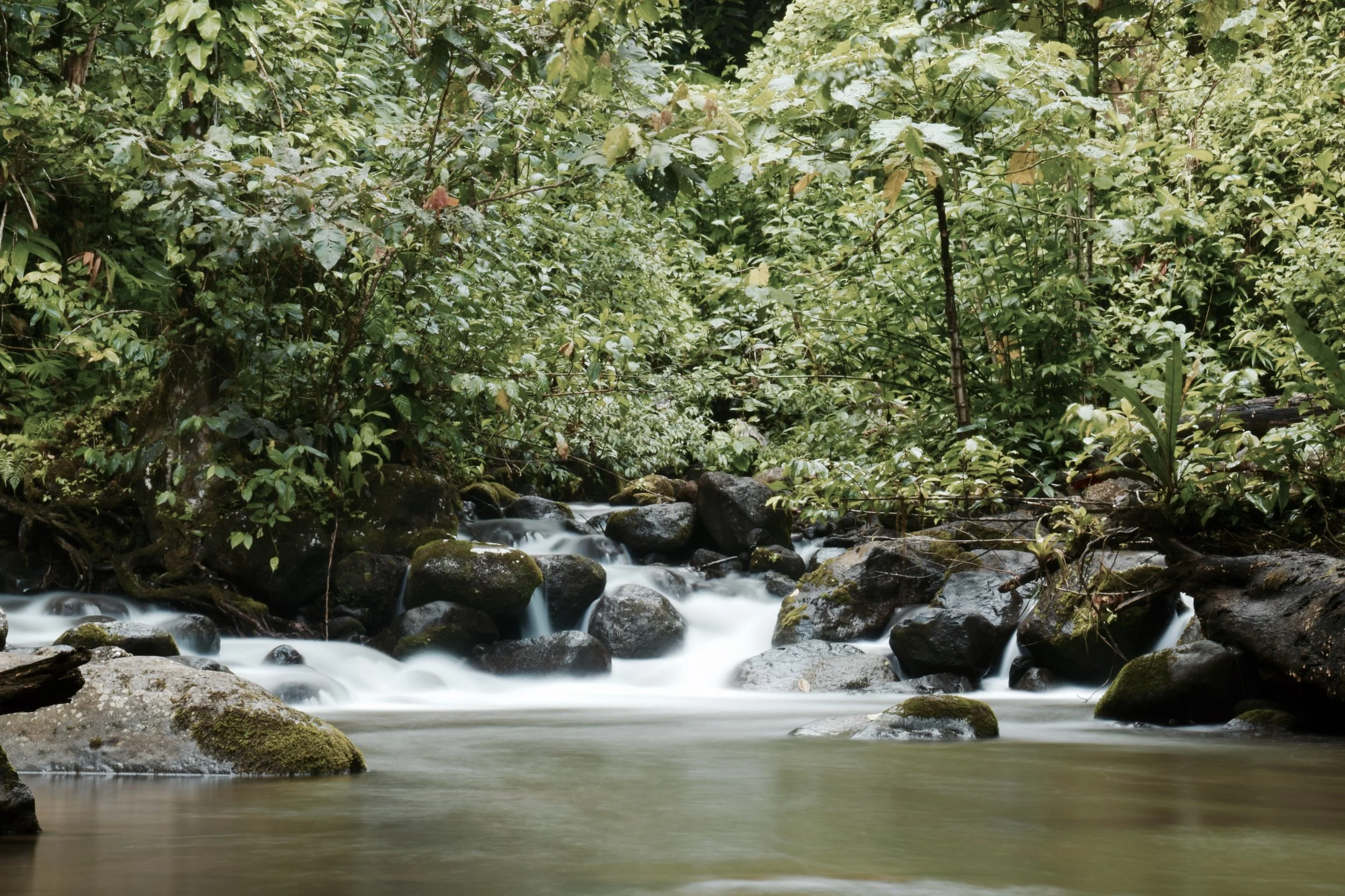 DSC_0807.jpg