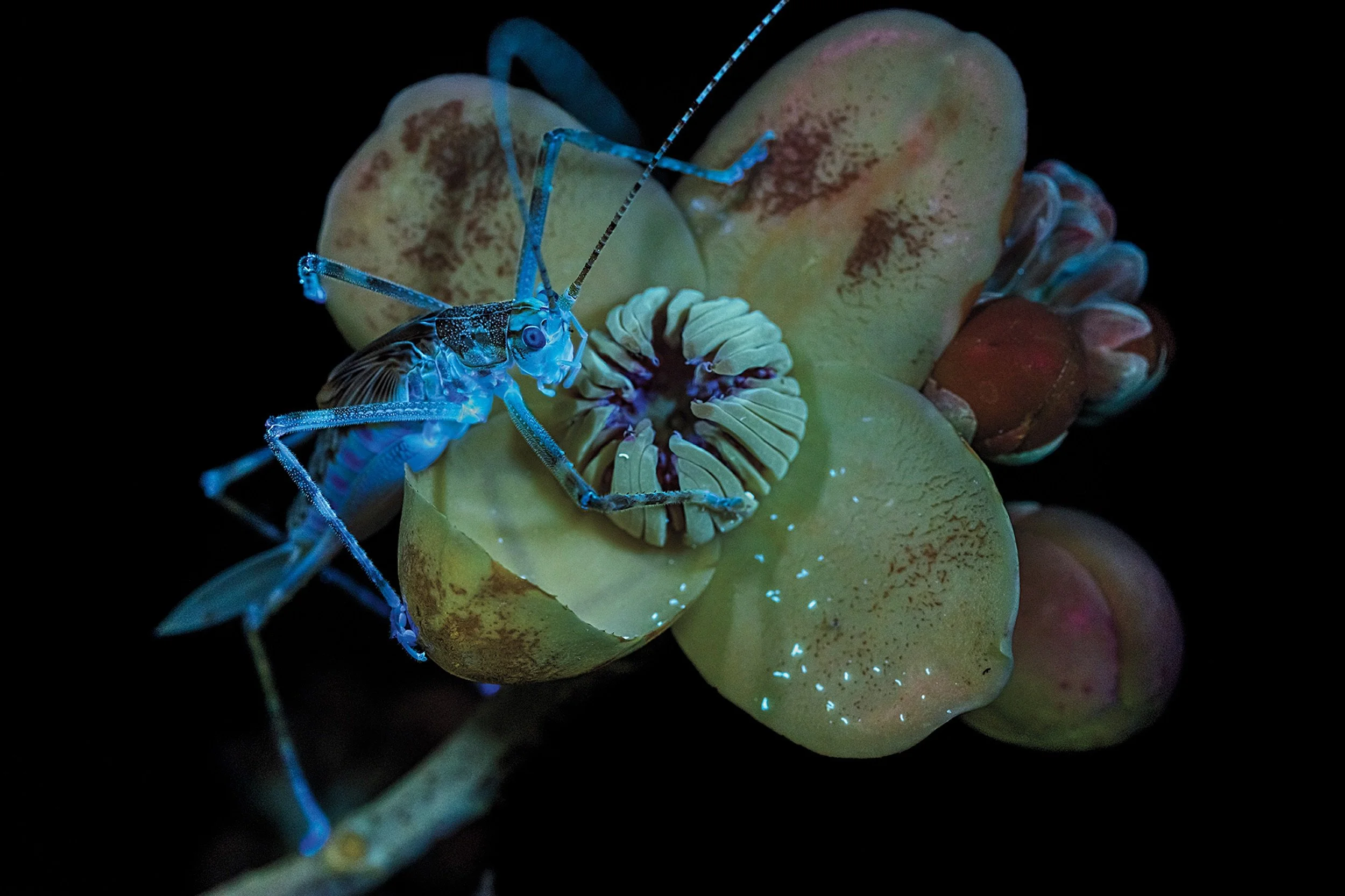 Nature’s Ultimate Glow-Up