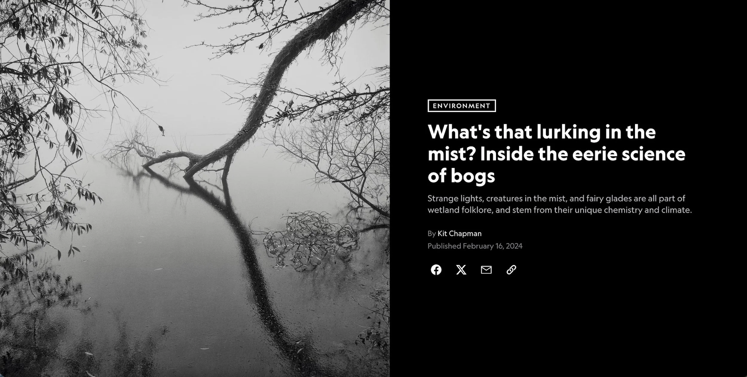 What's That Lurking in the Mist? Inside the Eerie Science of Bogs