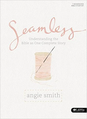 Seamless: Understanding the Bible as One Complete Story by Angie Smith