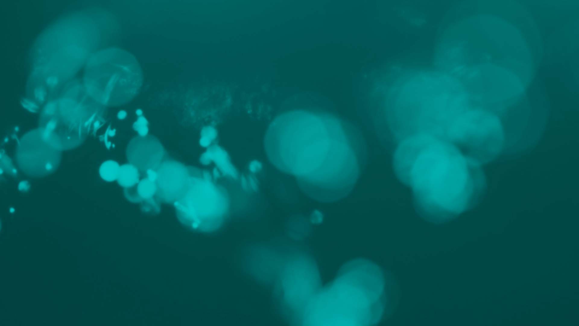 GroupsWeb_BG-1.6_2019.png