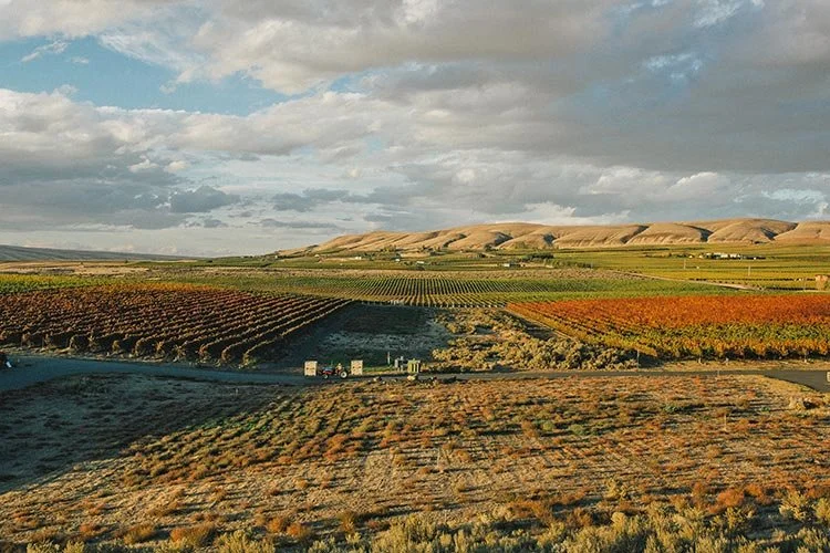 Thursday Night Wine Tasting with Kiona Vineyards