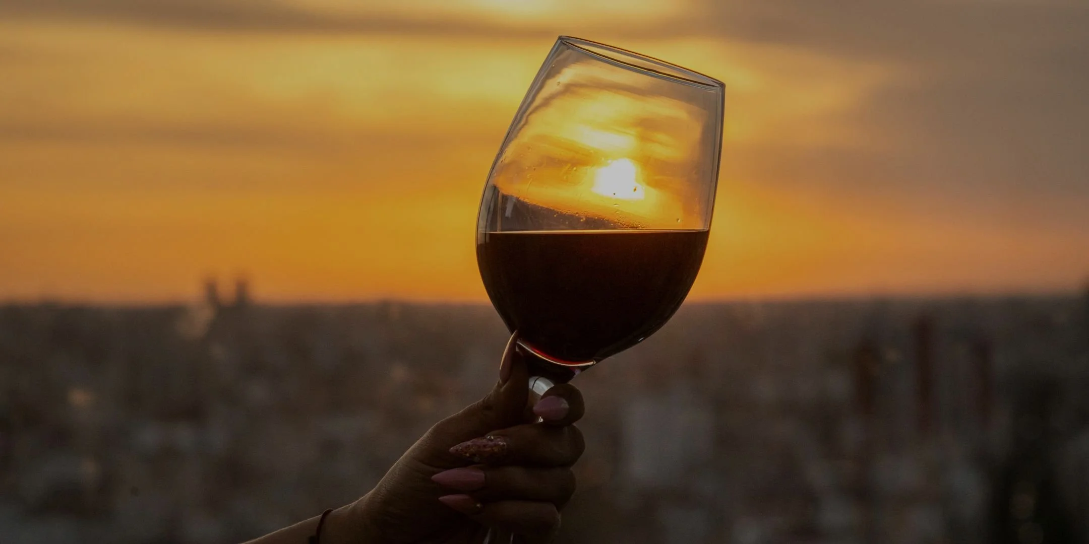 Thursday Night Tasting | Sun, Soil, and Sea: Wines from Chile