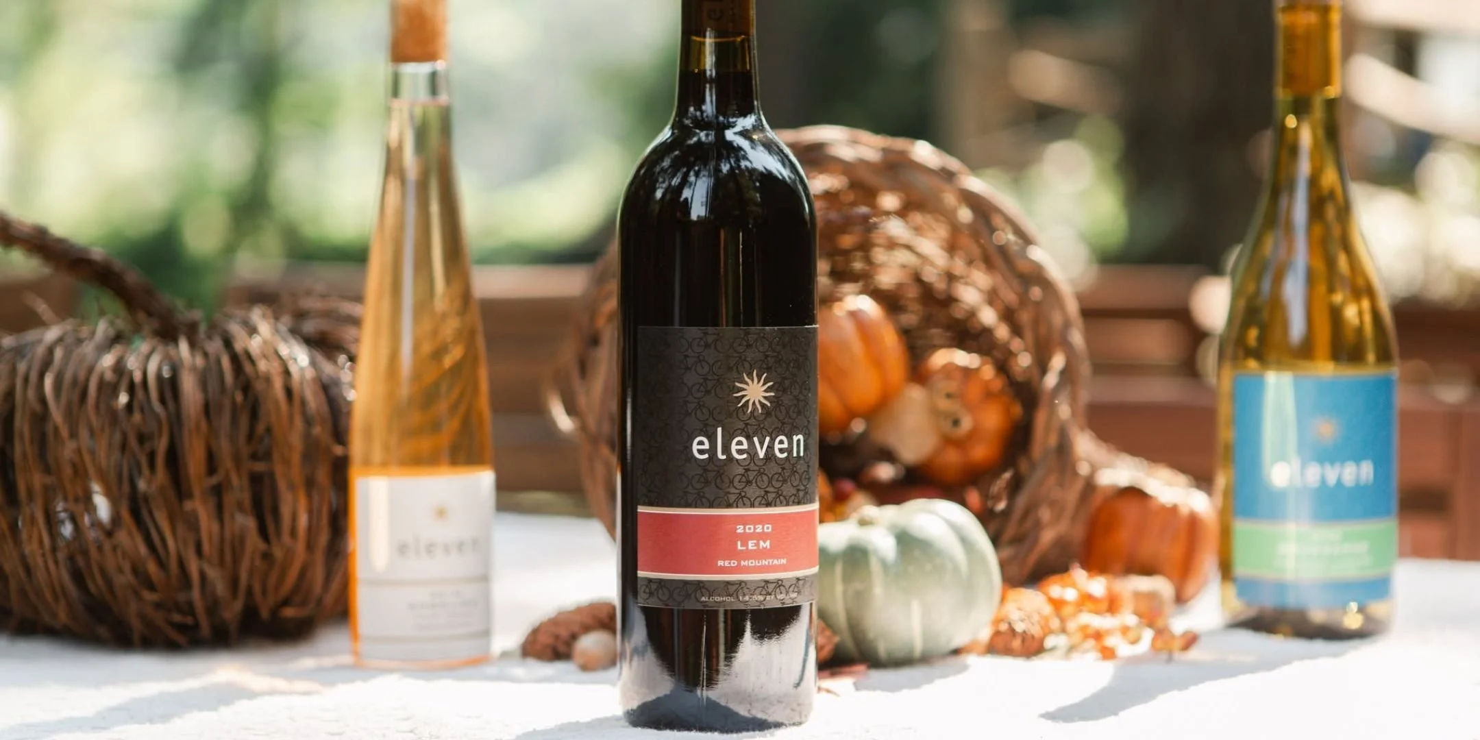 Meet the Winemaker Tasting with Eleven Winery