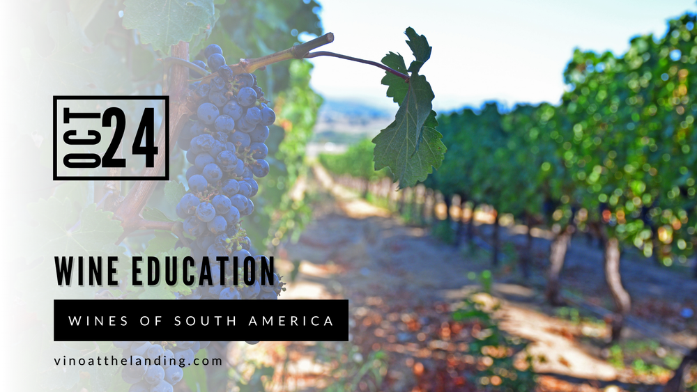 Wine Education Class Wines Of South America — Vino at the Landing