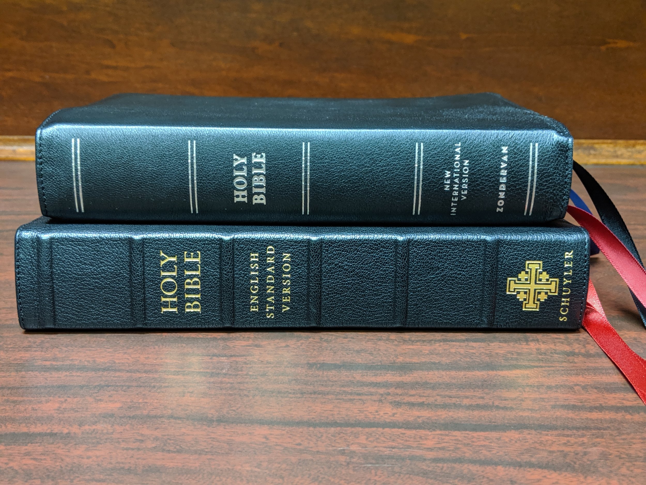 NIV Premier - top Schuyler Credo Quentel - Bottom