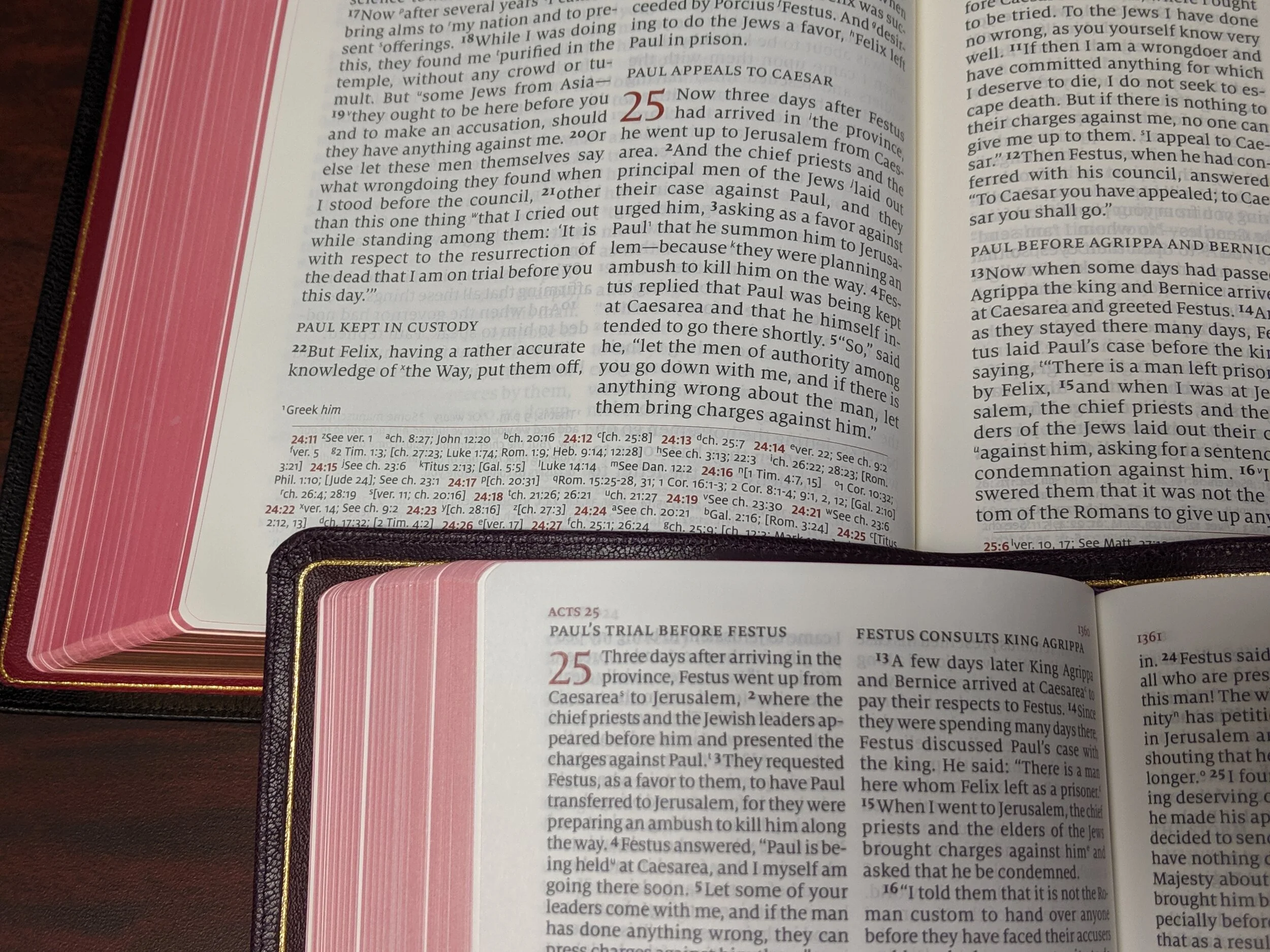 ESV Credo Quentel - top PSQ - bottom