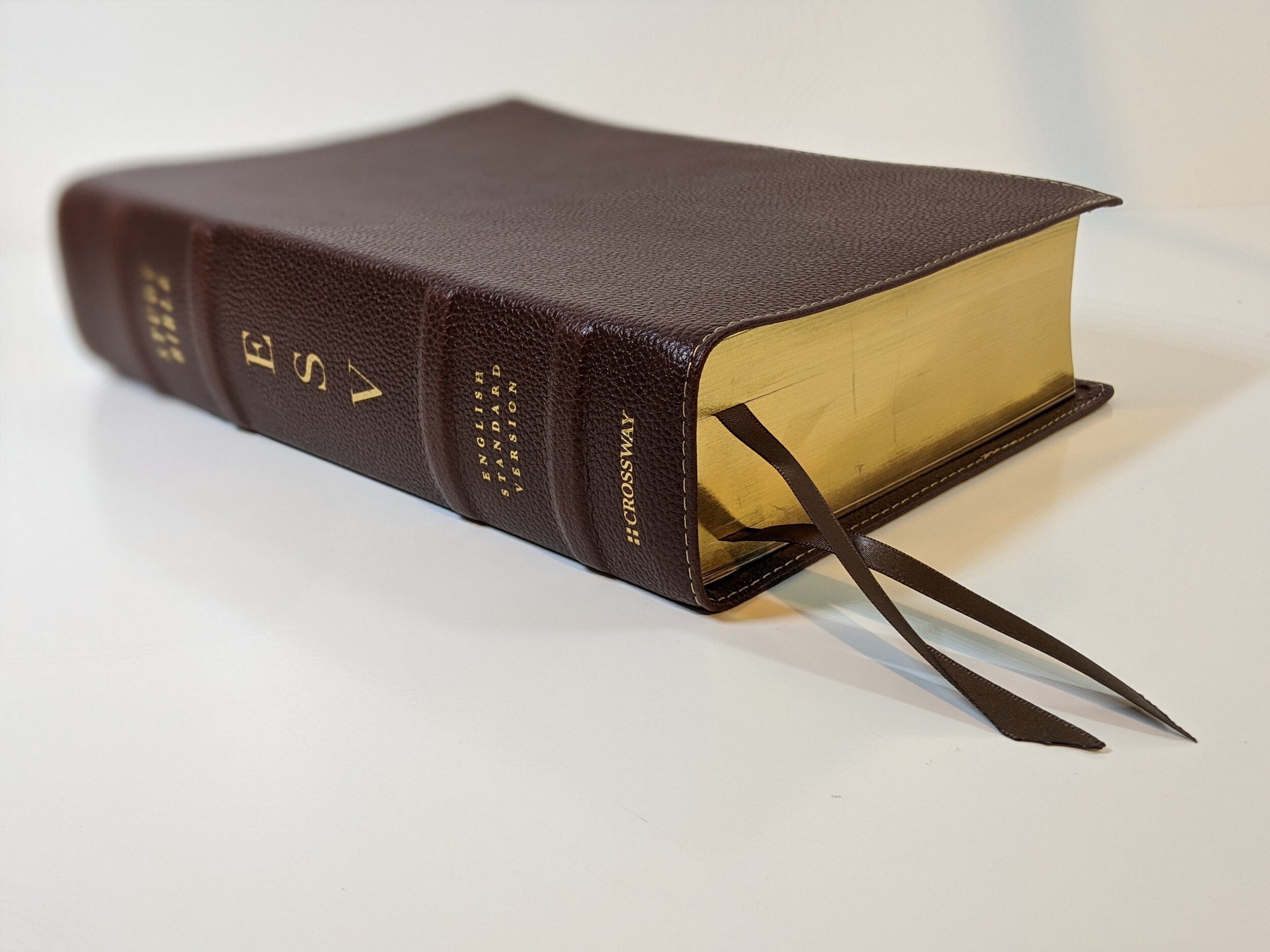 leather bound esv bible