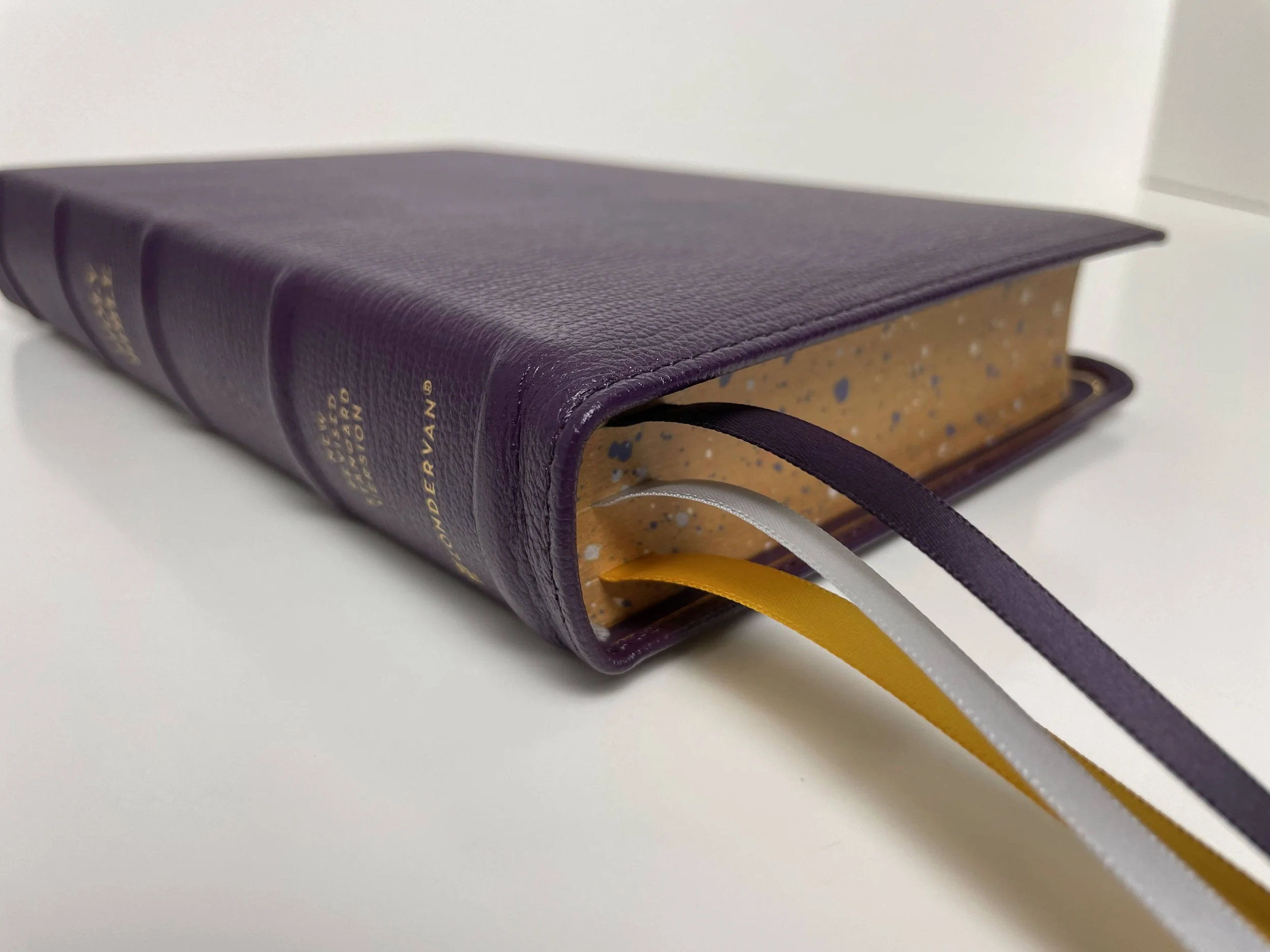 The Zondervan Premier Collection NRSV Personal Size Large Print Bible with Apocrypha — Cam Hyde