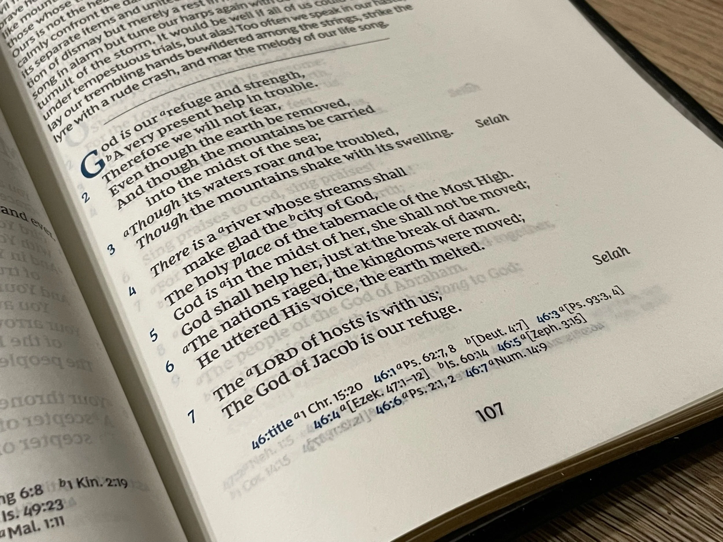 Spurgeon and the Psalms — Cam Hyde