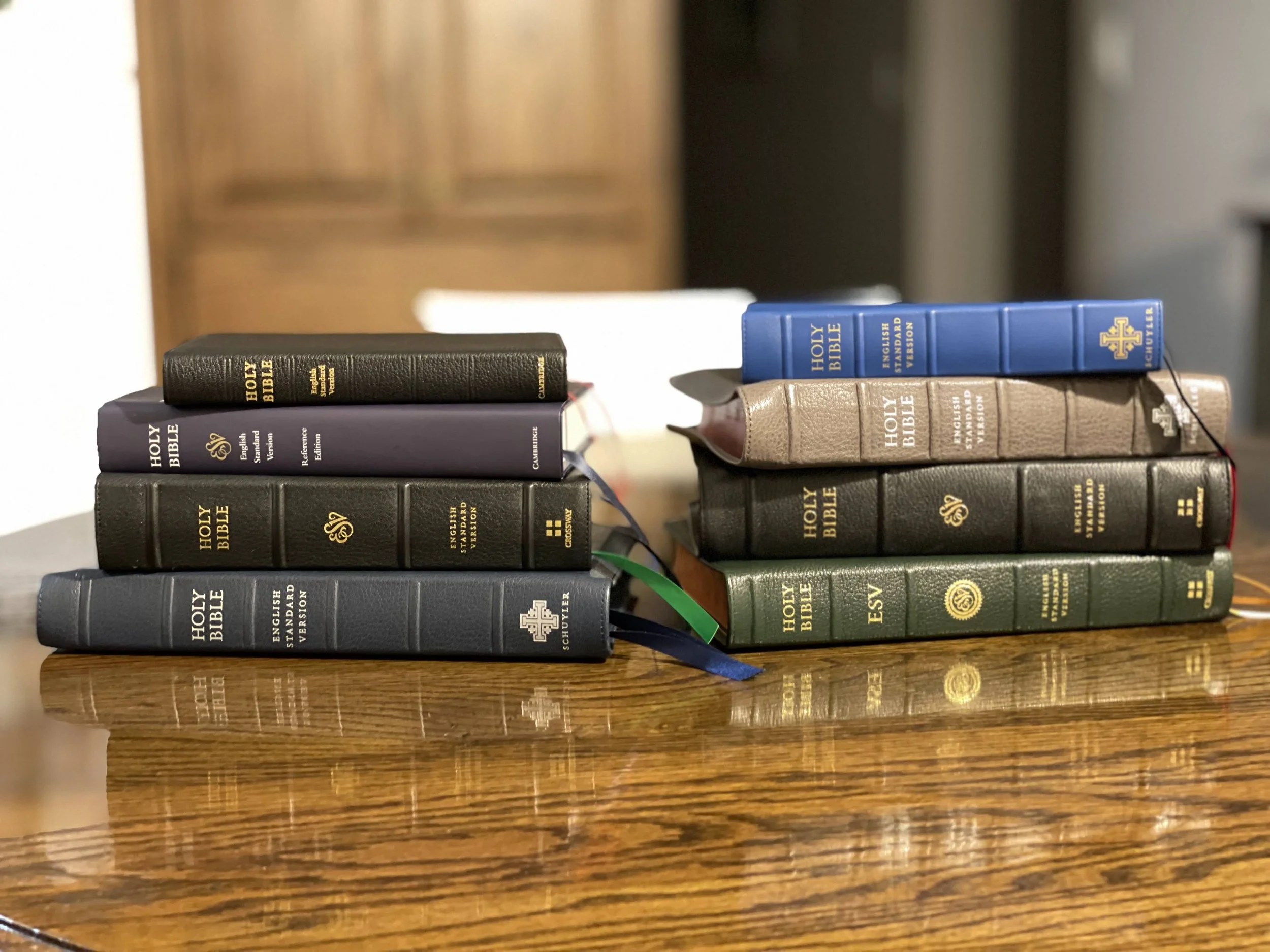 The Best ESV Bible on the Market — Cam Hyde