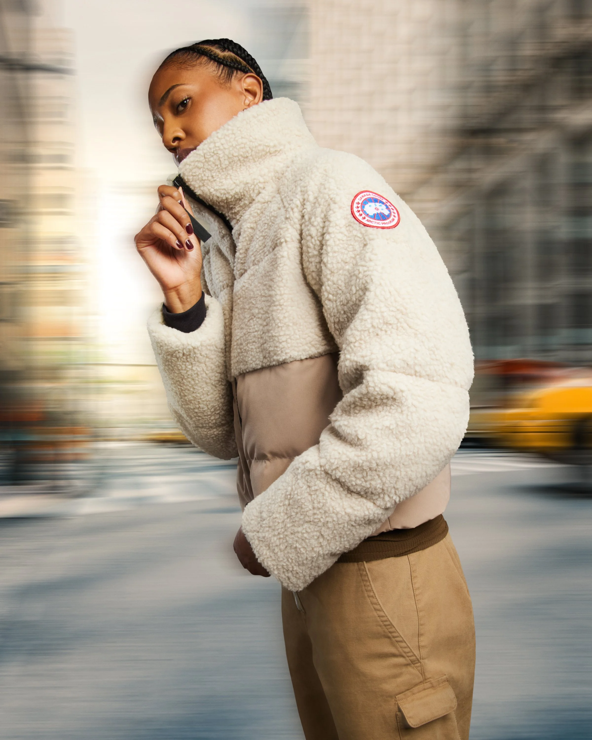 CanadaGoose-05.jpg