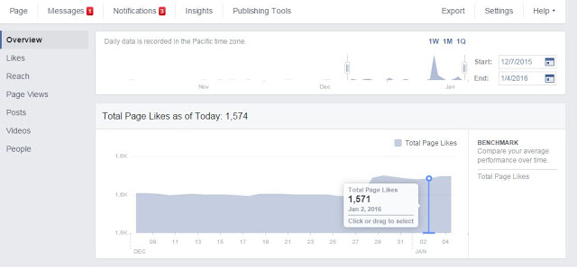 Facebook Total Page Likes - Insights Report