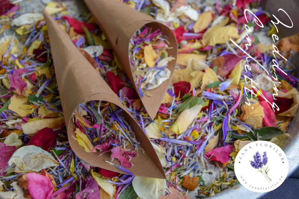 How To Make Wedding Confetti Out Of Natural Dried Flower Petals Faq The Growth Architect