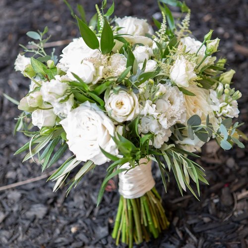 Stems Floral Design, independent shop in Santa Rosa, photo 5 of 7