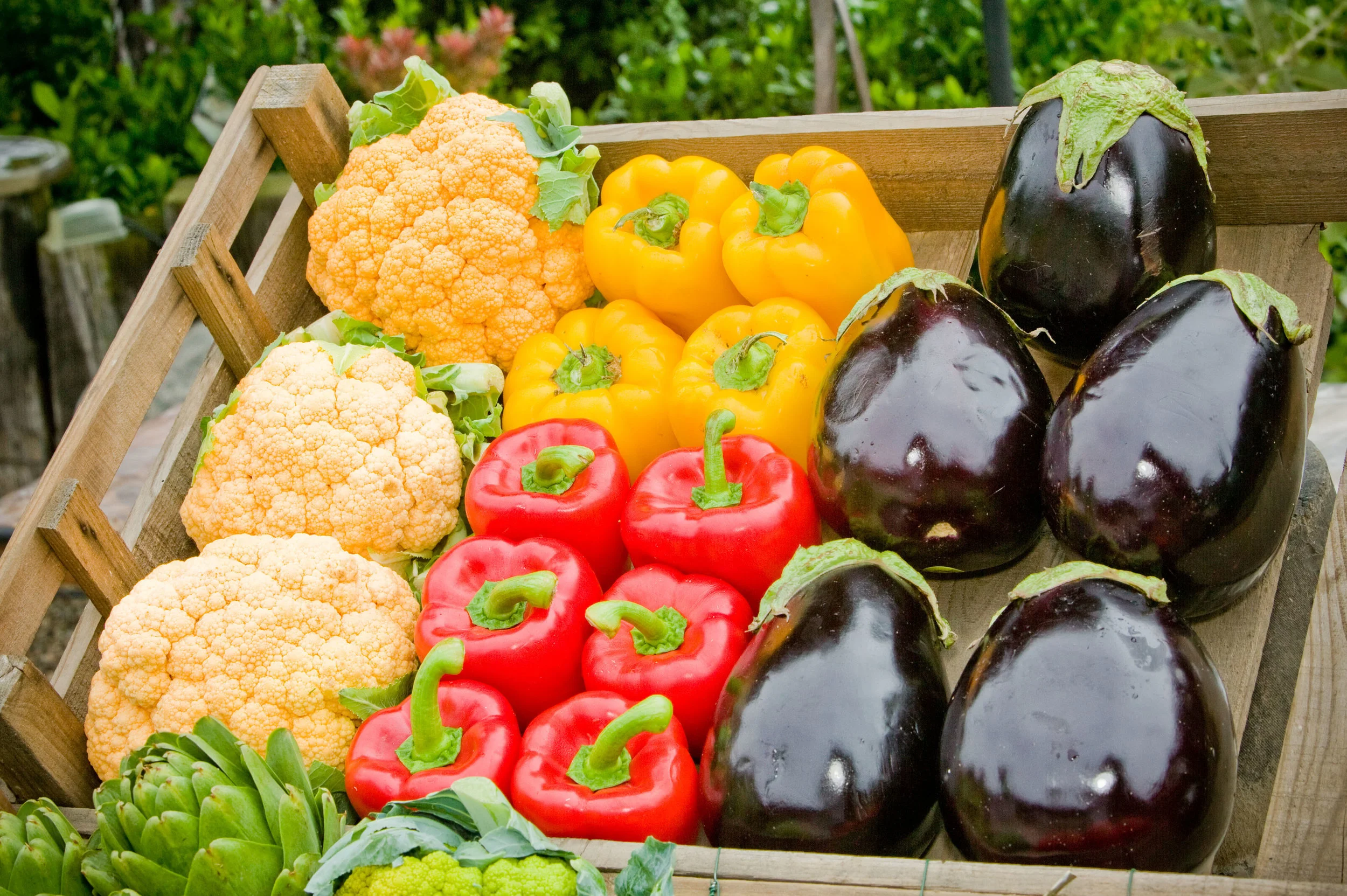 3110.jpg