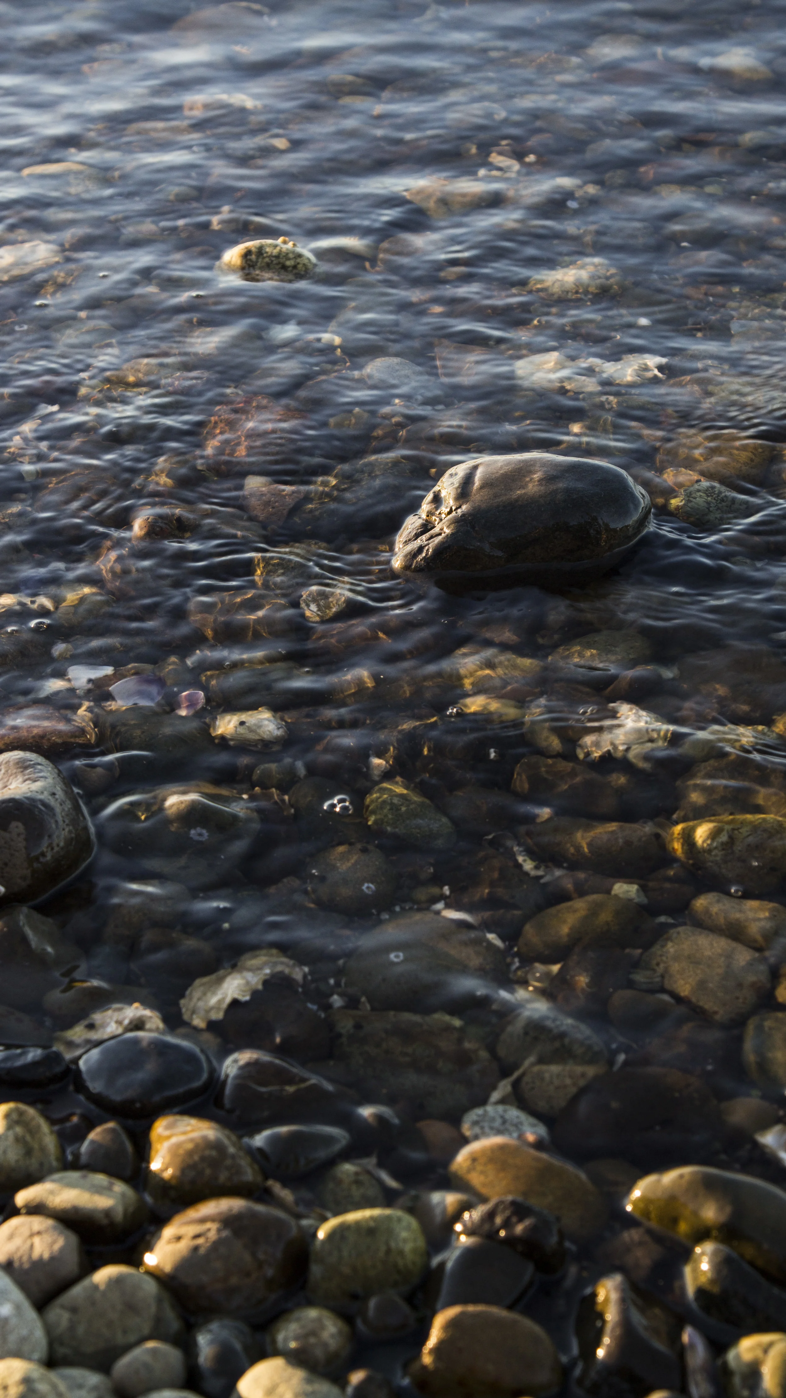 Rocks