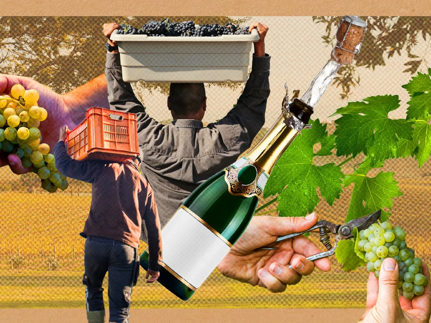 Grower Champagne Dinner