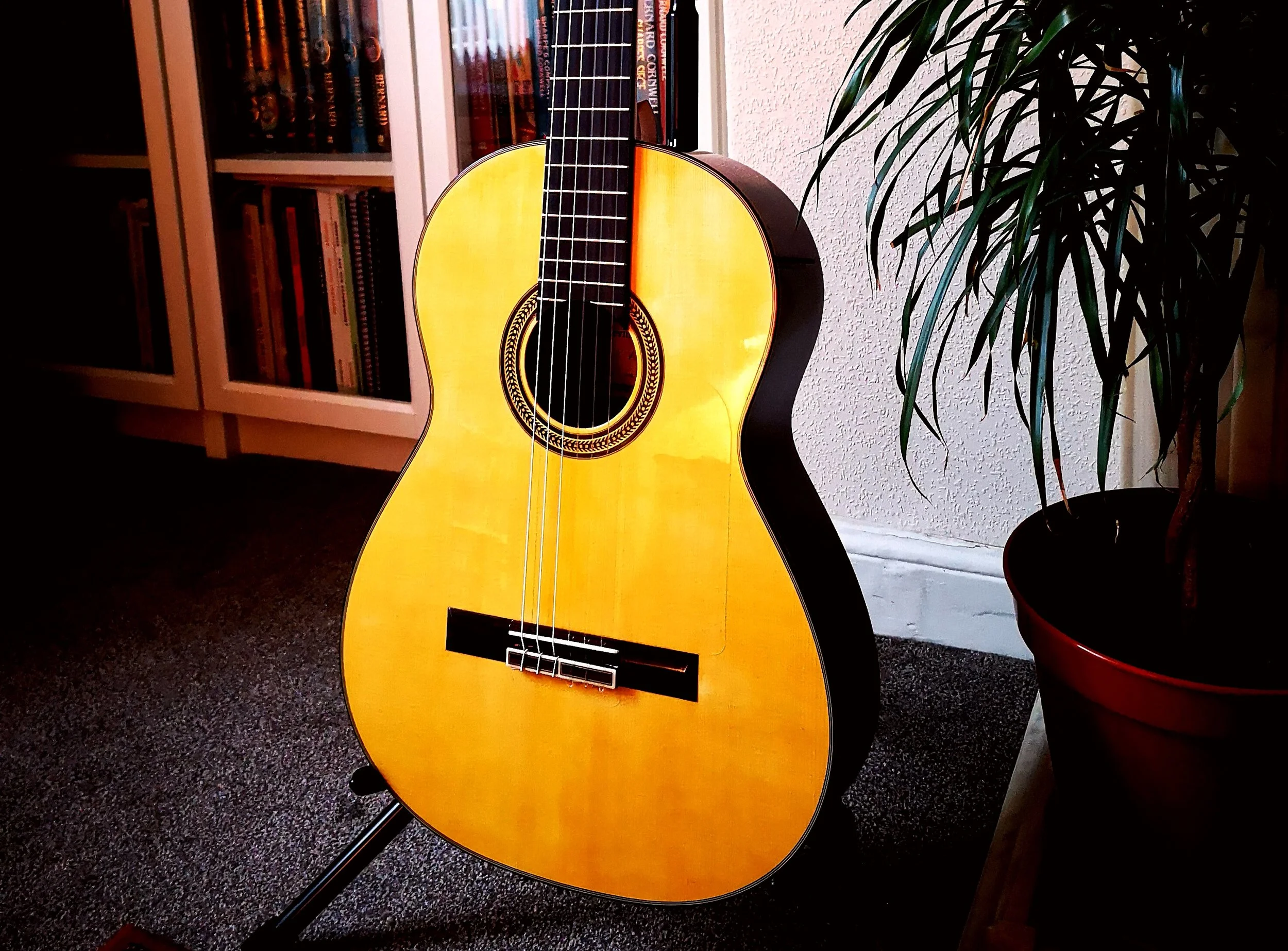 New Guitar