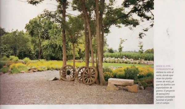 216.jpg