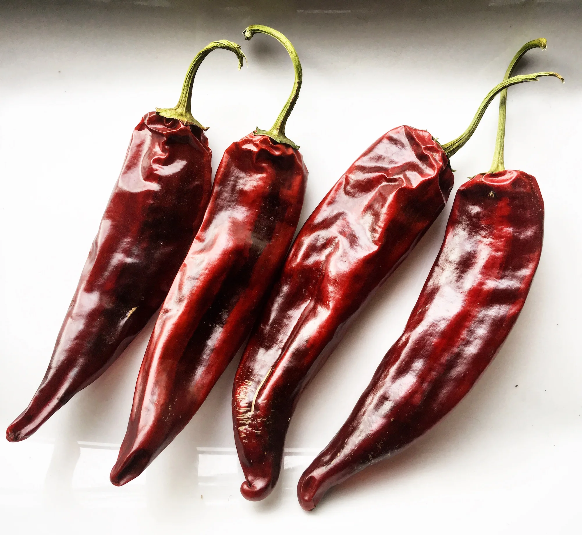 guajillo.JPG