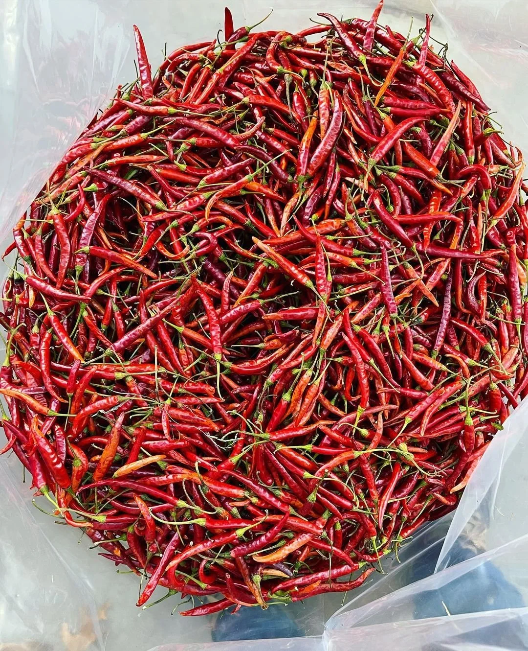 de arbol peppers.jpeg