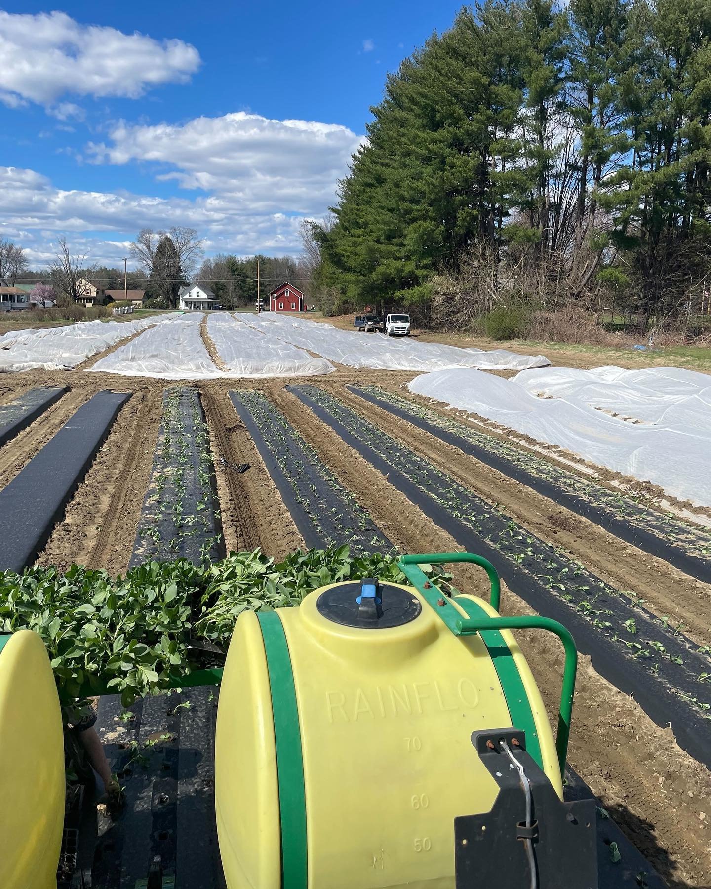 Scenes from planting. All our onions, fava beans and potatoes, plus the first round of brassicas and more are in the ground. Not too shabby for April 18th.