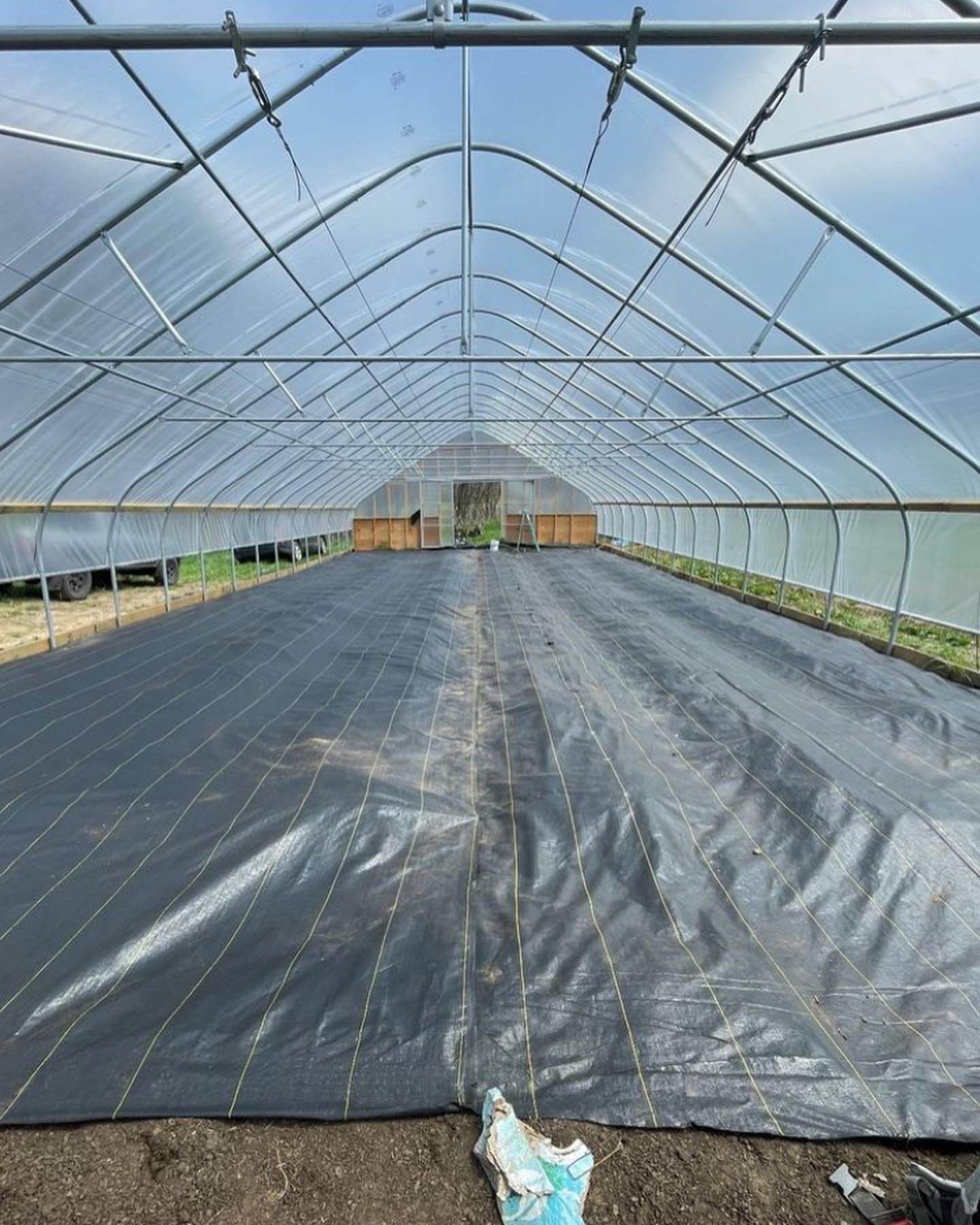 Tomato tunnel transformation 🌱 🍅 🌱