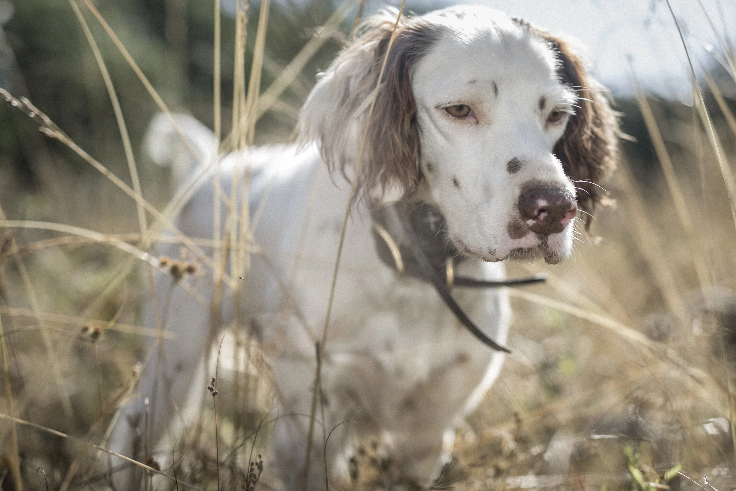 Flying J Ranch V2 021.JPG