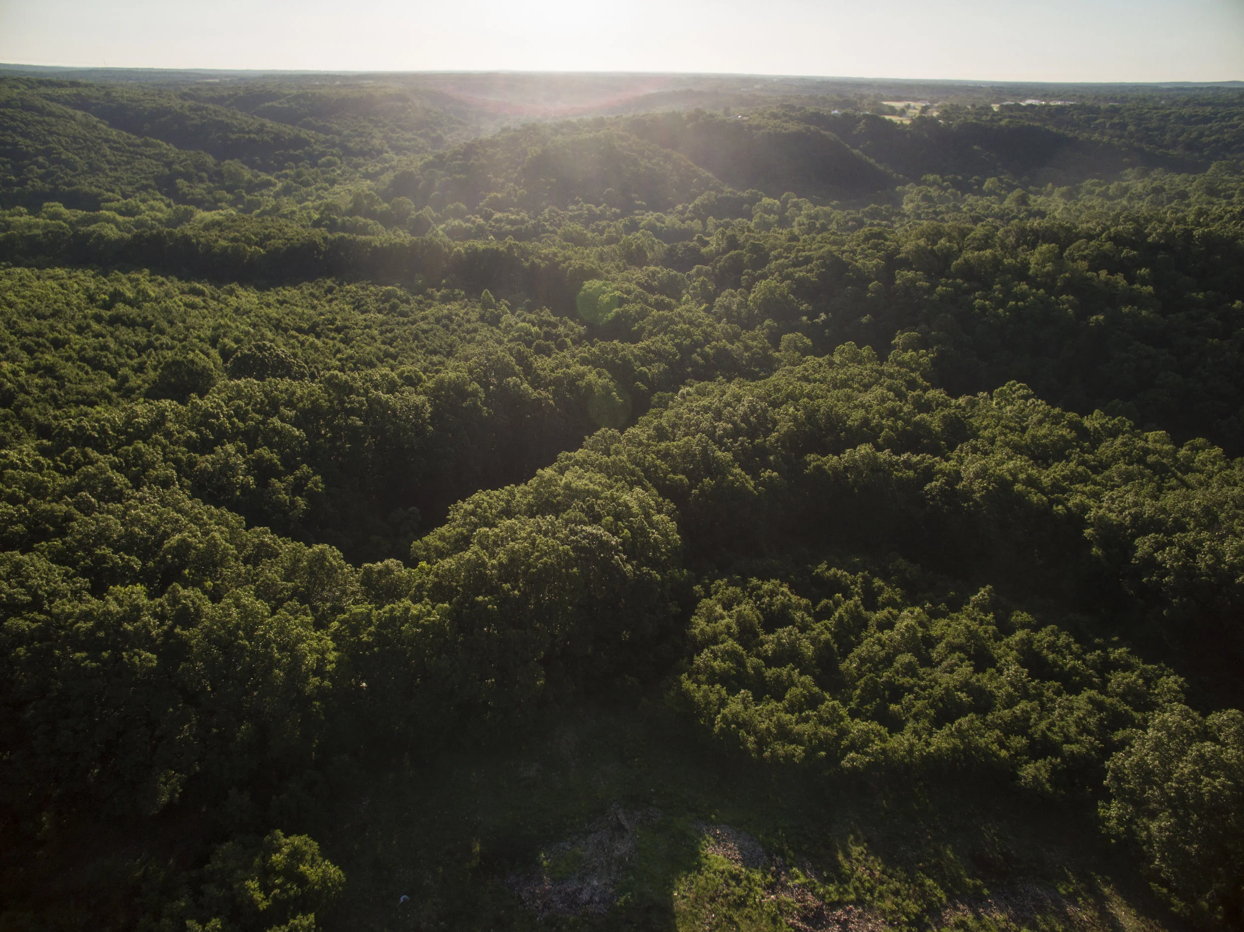 Flying J Ranch V2 042.JPG