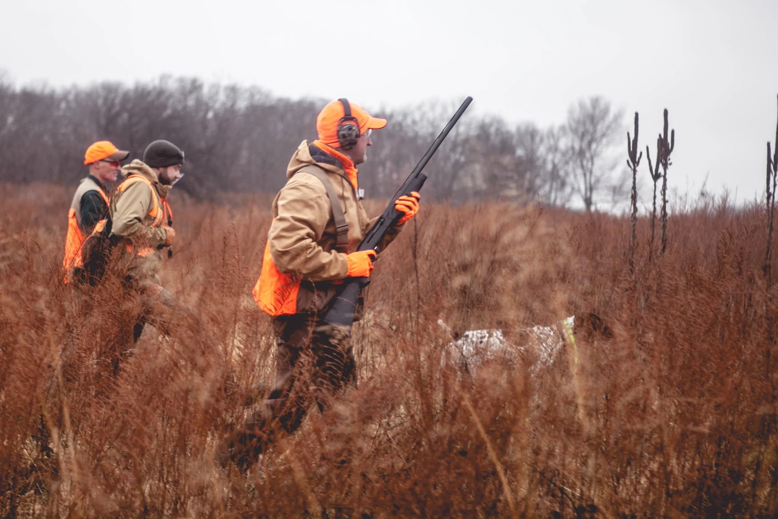 Field Hunts Begin!