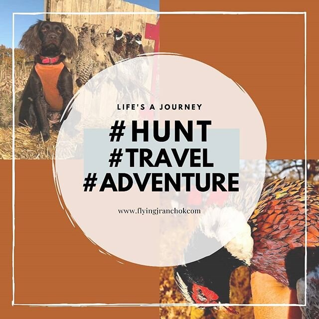 Whatever the trip may be, National Shop for Travel Day is the perfect time to visit! Check your email to take advantage of these savings!💲
#hunting
#travel
#adventure
#flyingjranchok
#celebrateeveryday
If you haven't signed up for our email list 📧 