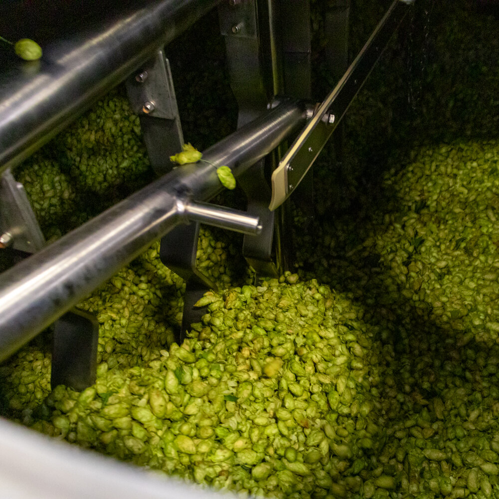 Conelickr-Fresh-Hop-IPA_Brewing_Square-11-3.jpg